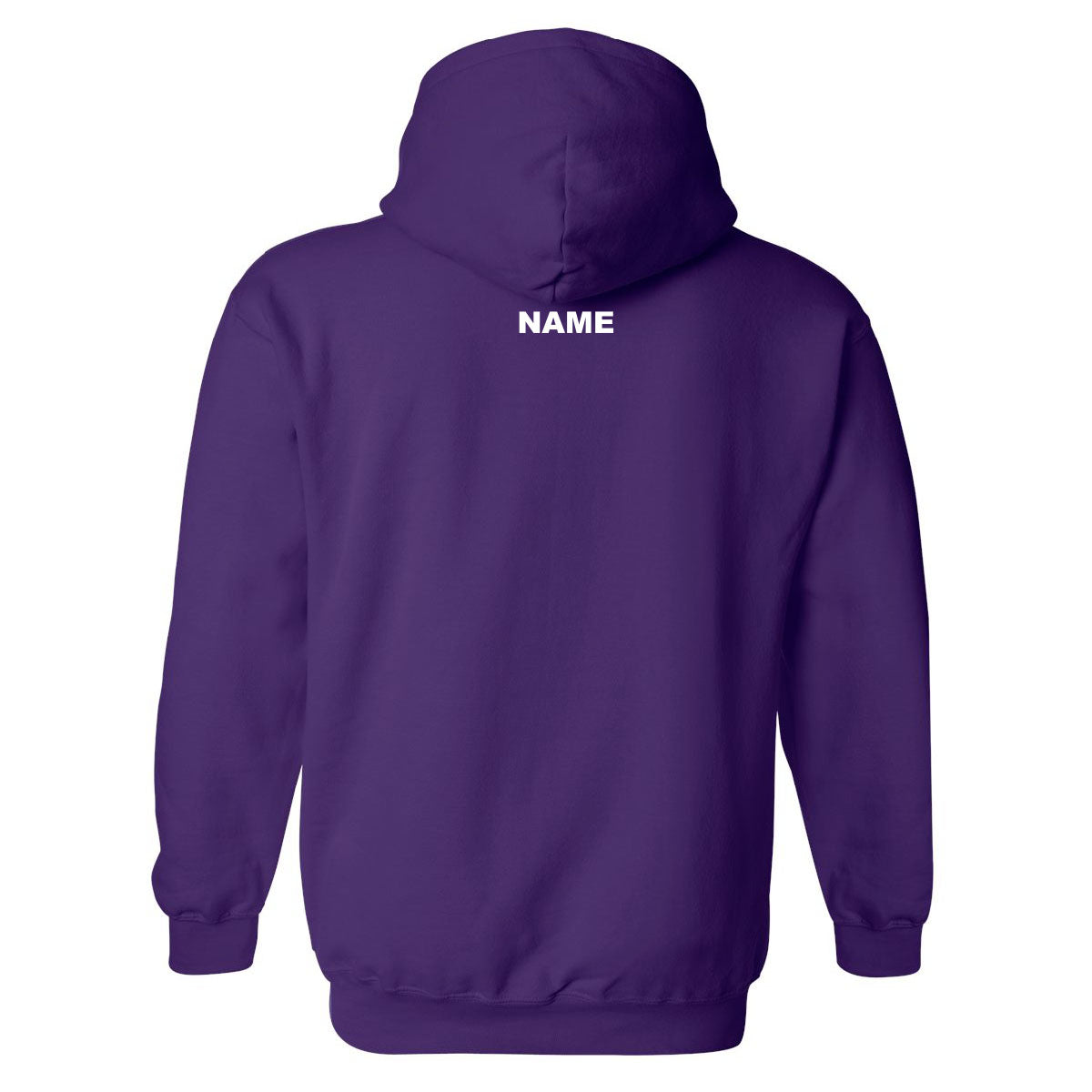 NASA Wildcats Gildan Hooded Sweatshirt