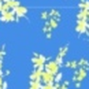 Kiefer Aquatics