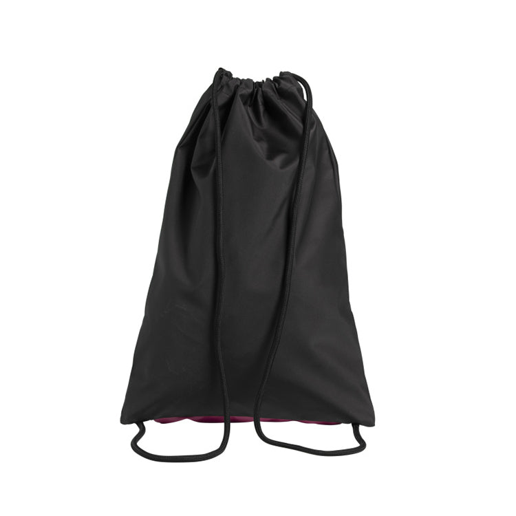 Arena Team Sack Big Logo