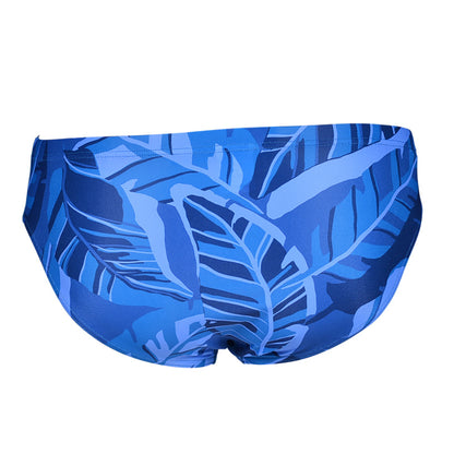 Arena Tropicals Brief