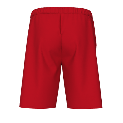 Arena Team Bermuda Panel Shorts