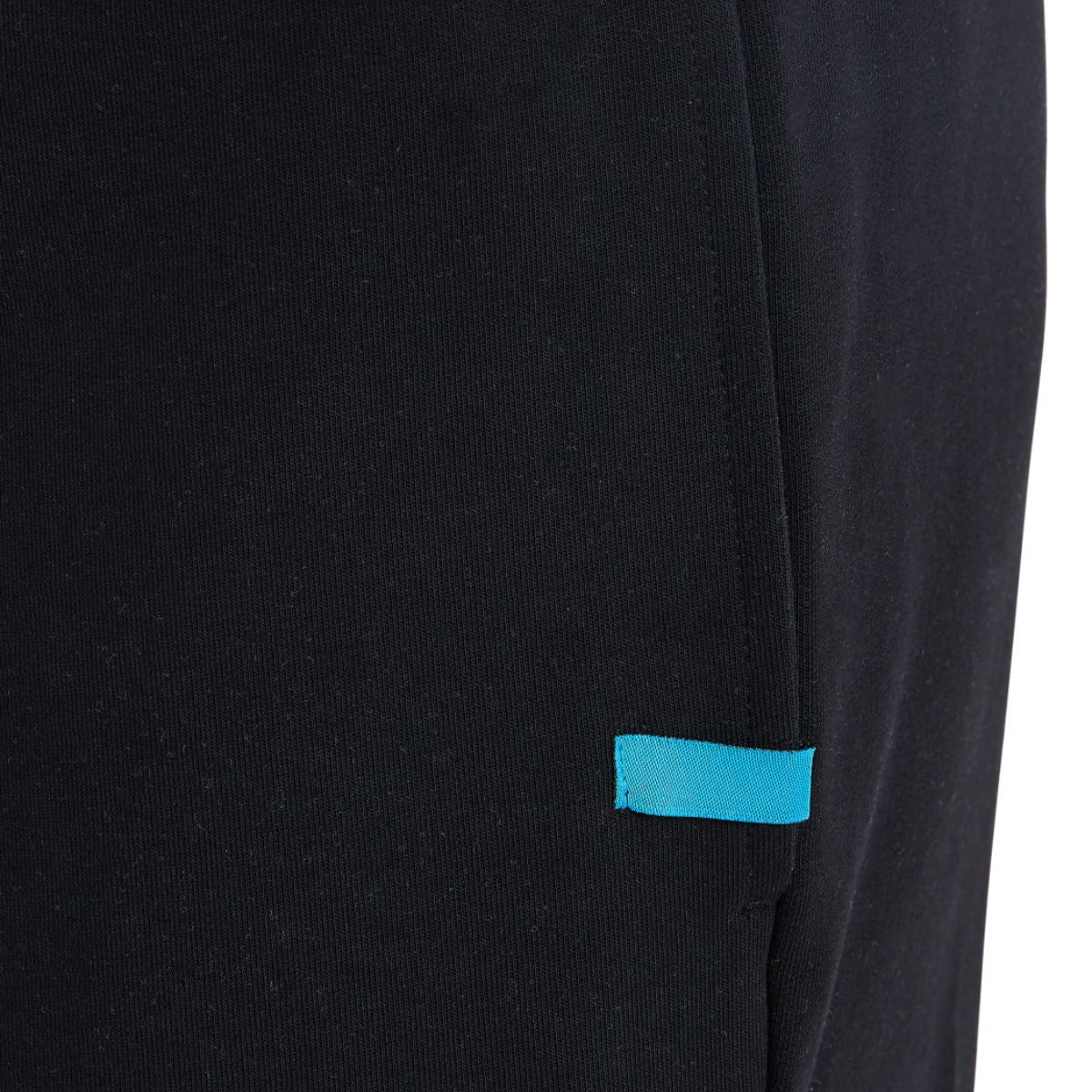 Arena Team Solid Pant