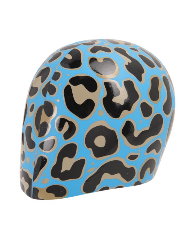 Arena Print 2 Cap
