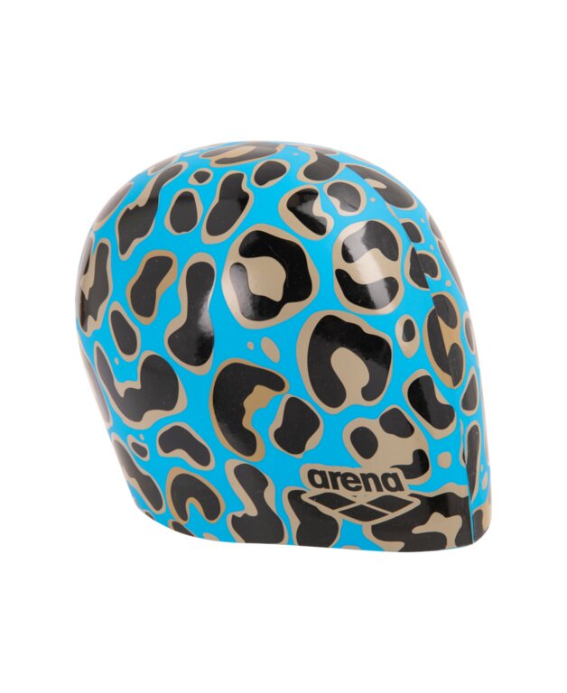 Arena Print 2 Cap