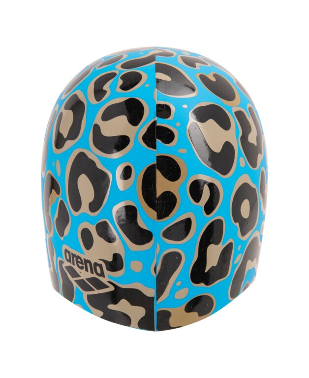 Arena Print 2 Cap