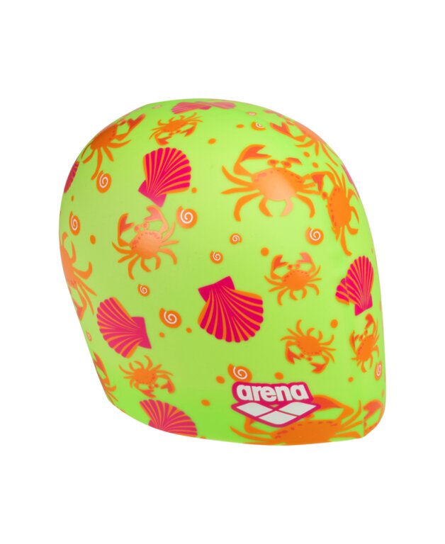 Arena Print 2 Cap