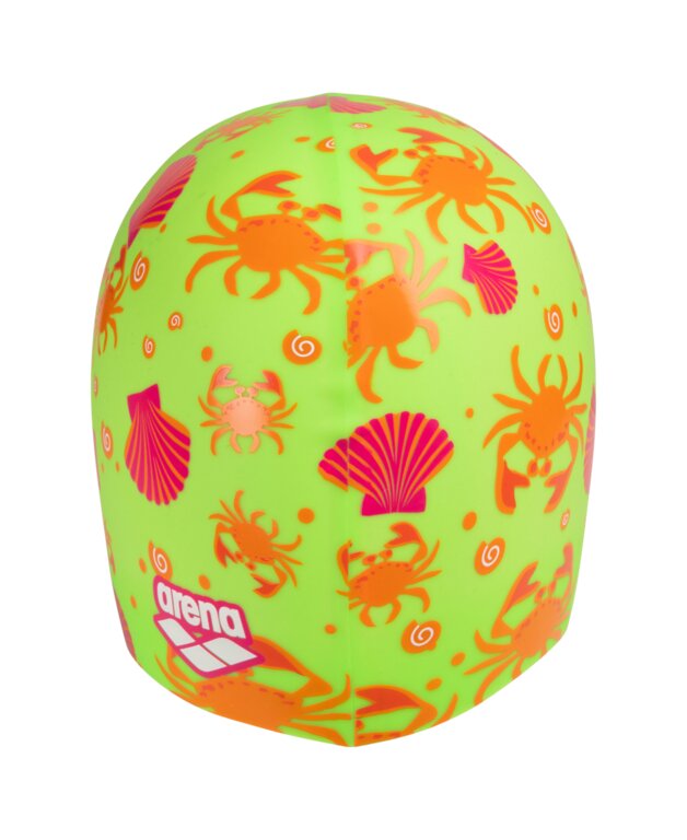 Arena Print 2 Cap