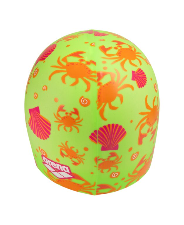 Arena Print 2 Cap