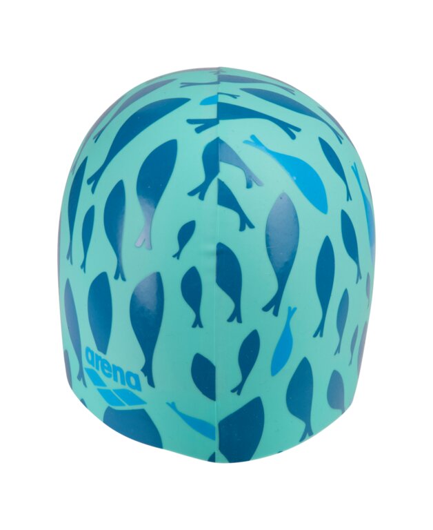 Arena Print 2 Cap