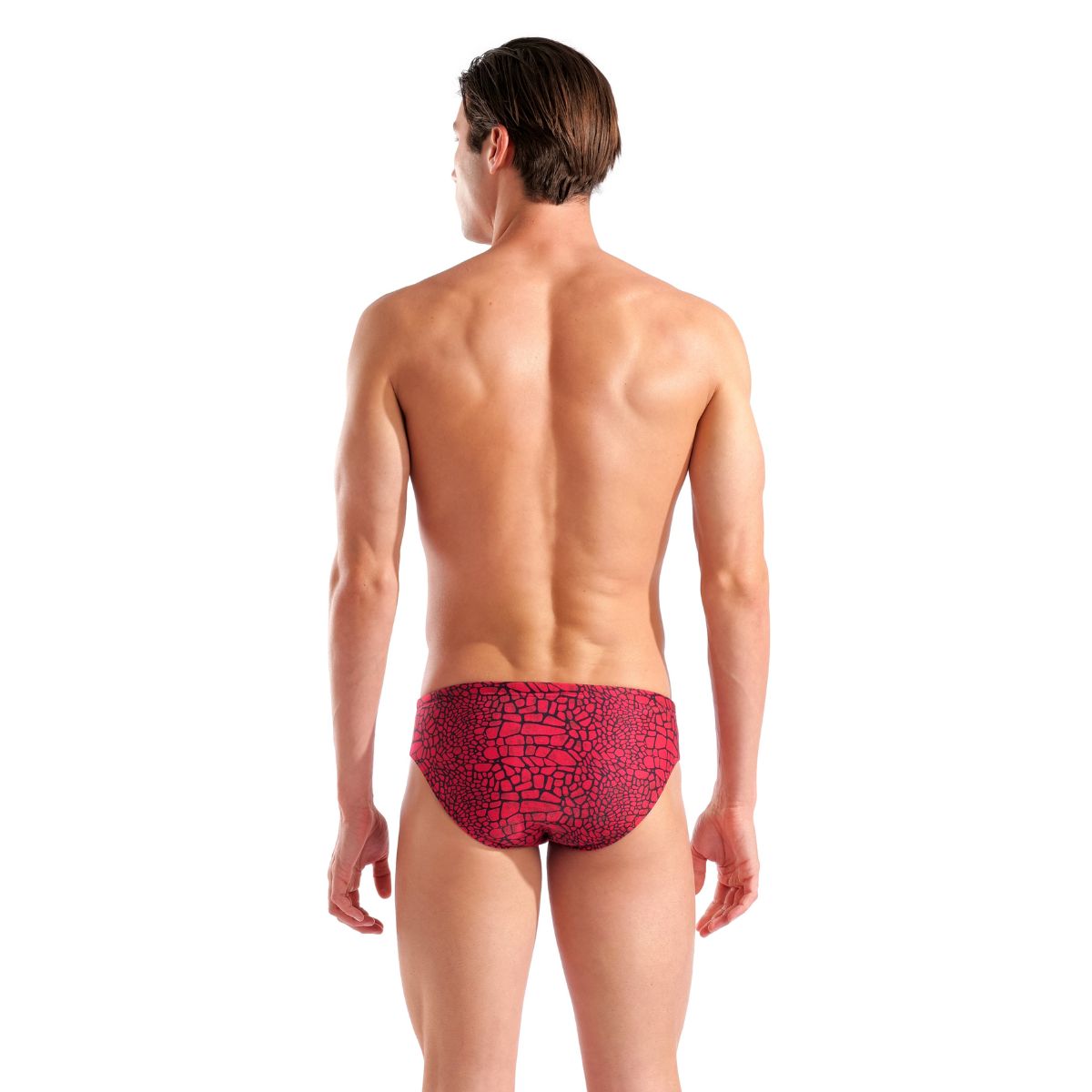 Arena Men's Team Swim Snakeskin Briefs