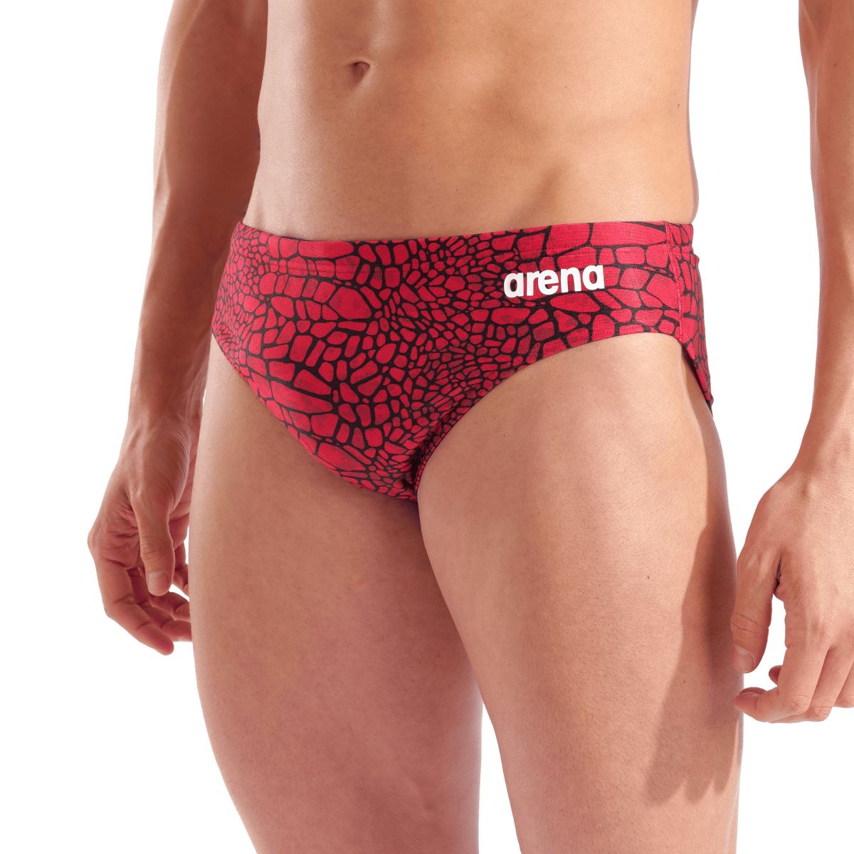 Arena Men's Team Swim Snakeskin Briefs