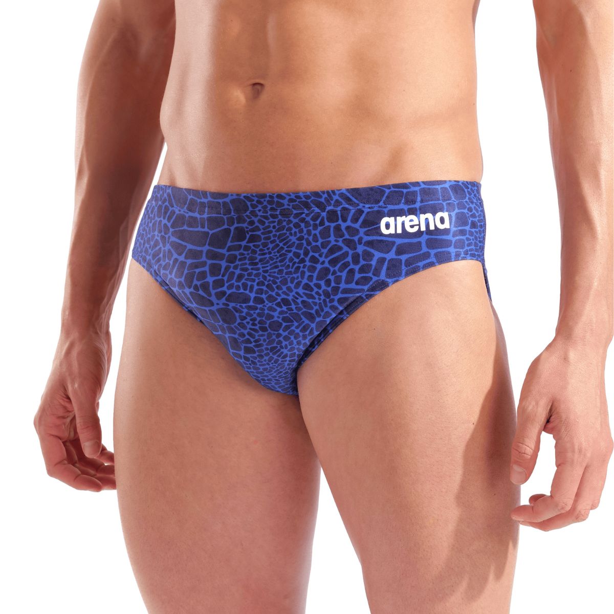 Arena Men's Team Swim Snakeskin Briefs