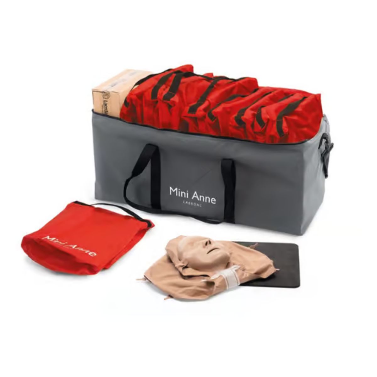 Mini Anne Plus Kit (10 pack)